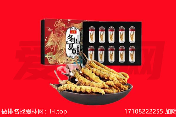 临夏市回收虫草.jpg